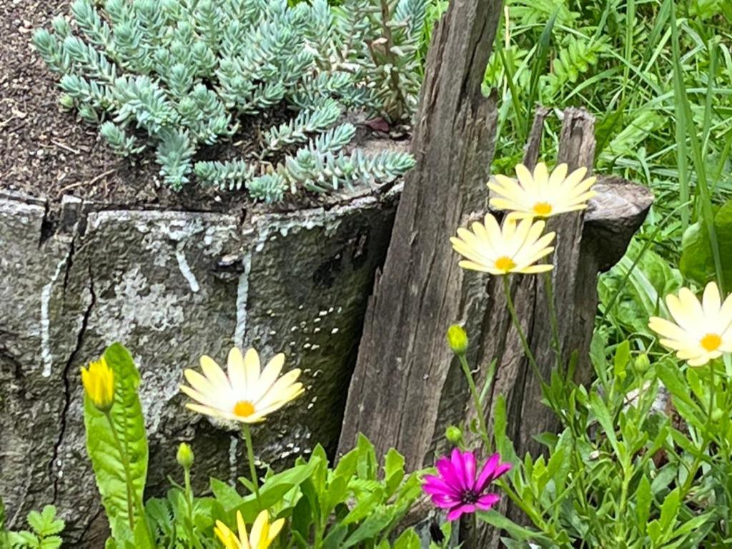 Hotel Piatkovskiy Pilipets Bagian luar foto